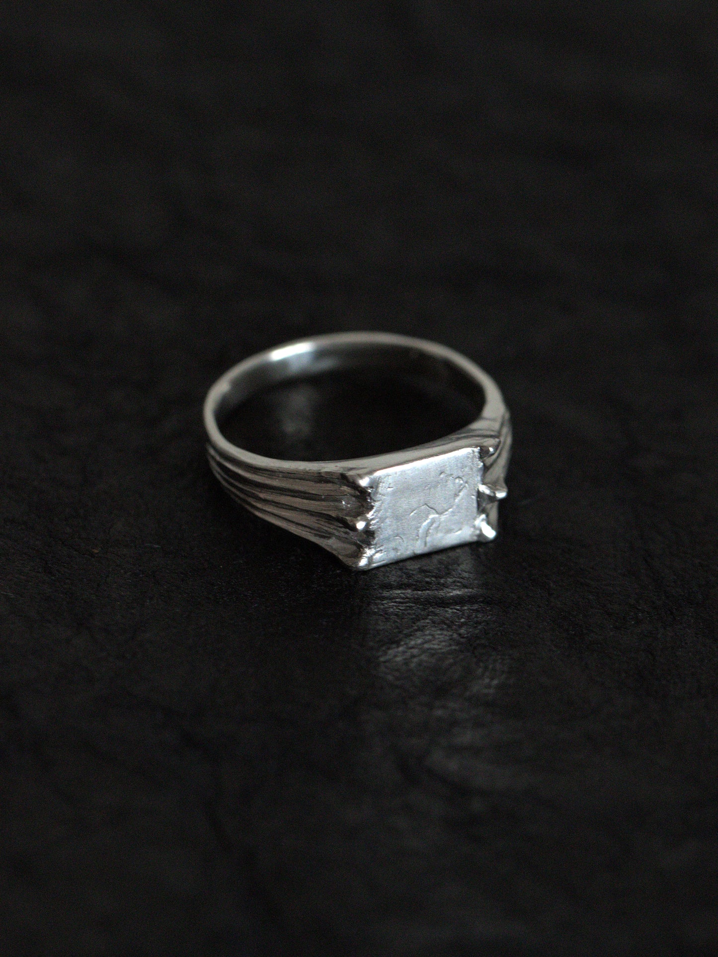 Chiroptera ring