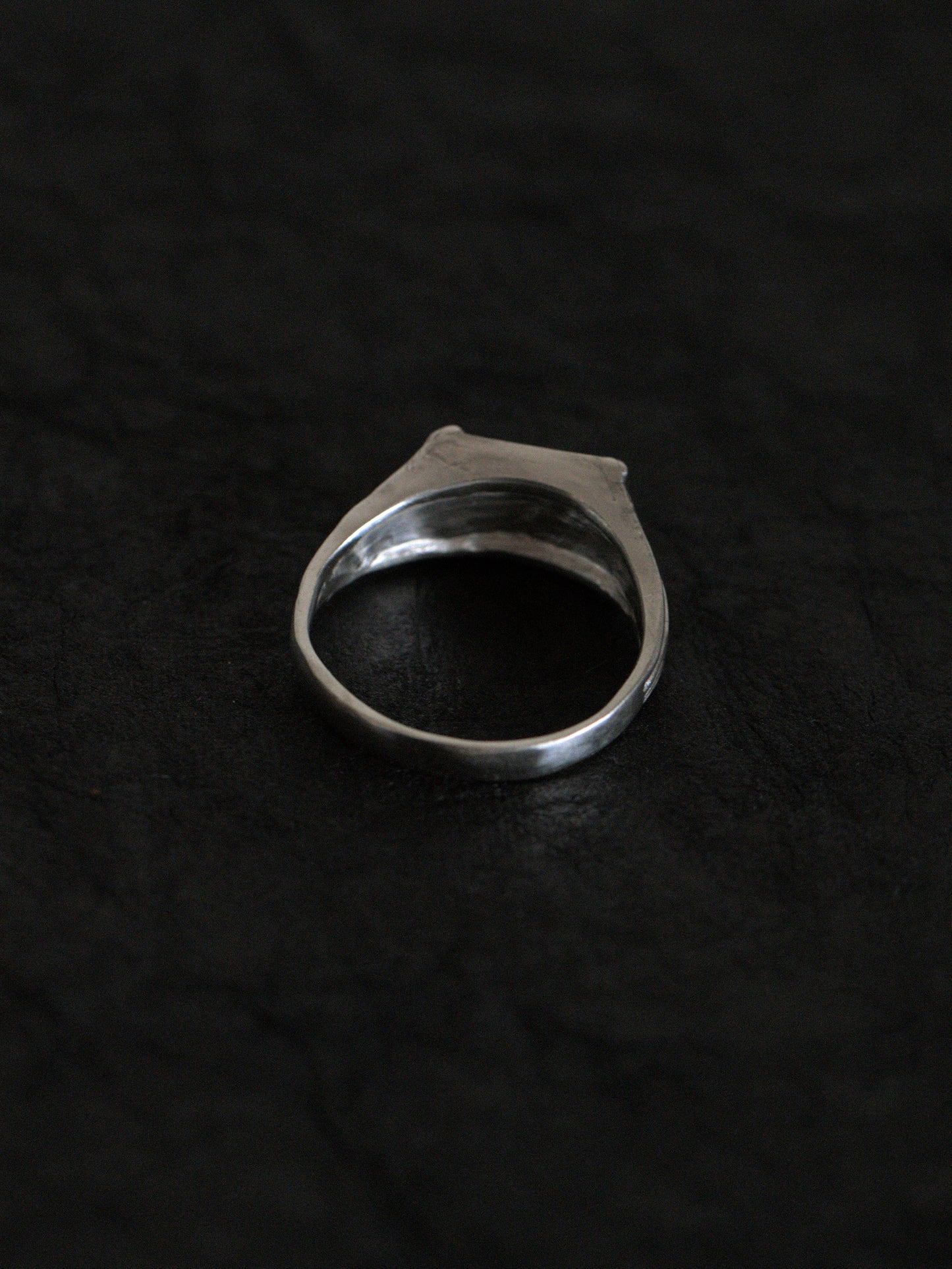 Chiroptera ring