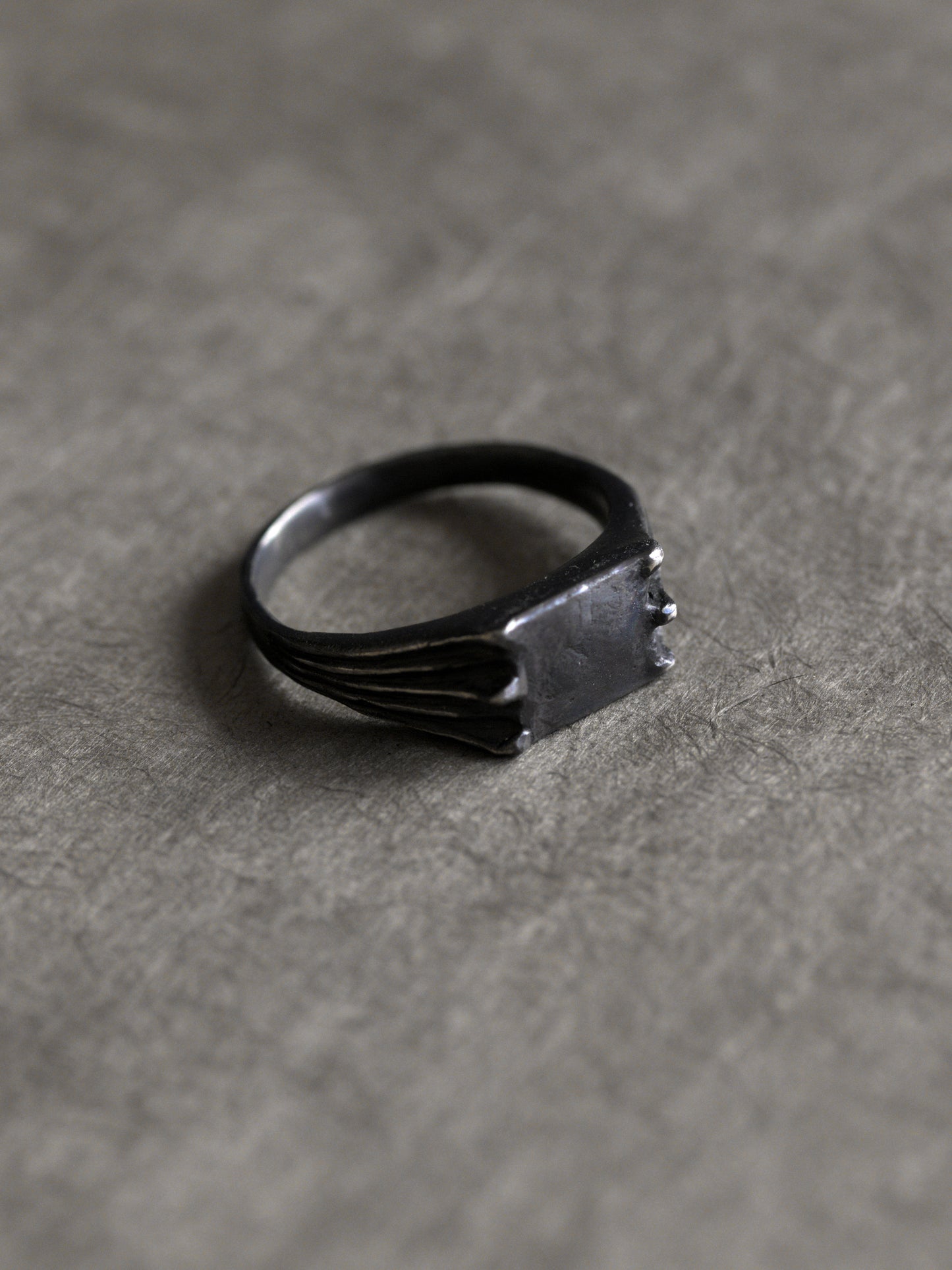 Chiroptera ring