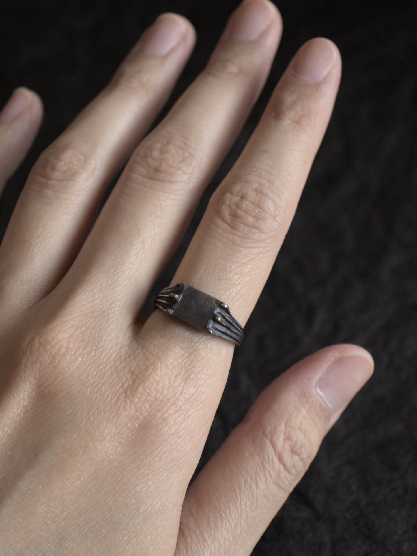 Chiroptera ring