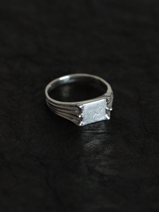 Chiroptera ring