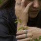 Chiroptera ring